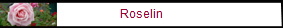 Roselin